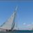 Les_Voiles_du_Vieux_Port_2010_DSC_5863.jpg Les_Voiles_du_Vieux_Port_2010_DSC_5863.jpg