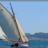 Thistle, Les_Voiles_du_Vieux_Port_2010_DSC_5901.jpg Thistle, Les_Voiles_du_Vieux_Port_2010_DSC_5901.jpg