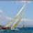 Thistle, Les_Voiles_du_Vieux_Port_2010_DSC_5973.jpg Thistle, Les_Voiles_du_Vieux_Port_2010_DSC_5973.jpg