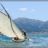 Thistle, Les_Voiles_du_Vieux_Port_2010_DSC_6005.jpg Thistle, Les_Voiles_du_Vieux_Port_2010_DSC_6005.jpg