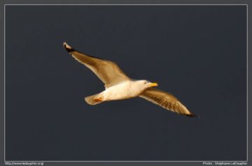 DSC_0121.jpg