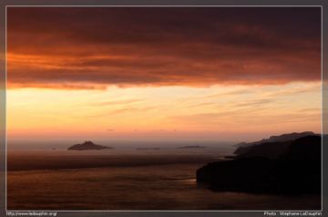 Calanques_DSC_0353.jpg