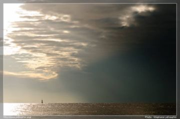 DSC_0125.jpg
