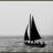 La Mouette dans le courant