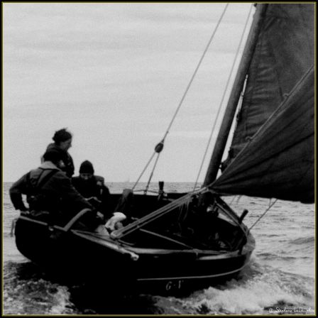 Le Goéland
