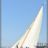 Les_Voiles_du_Vieux_Port_2010_DSC_5861.webp