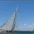 Les_Voiles_du_Vieux_Port_2010_DSC_5863.webp