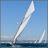 Les_Voiles_du_Vieux_Port_2010_DSC_5873.jpg