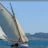 Les_Voiles_du_Vieux_Port_2010_DSC_5901.jpg