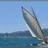 Les_Voiles_du_Vieux_Port_2010_DSC_5922.jpg
