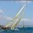 Les_Voiles_du_Vieux_Port_2010_DSC_5973.webp