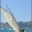 Les_Voiles_du_Vieux_Port_2010_DSC_5997.jpg
