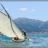 Les_Voiles_du_Vieux_Port_2010_DSC_6005.webp