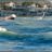 WindSurf_Pointe_Rouge_DSC_7608.jpg