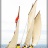 Yole_de_Bantry_SLeDauphin_Photographie_D300S_SLD_8112.webp