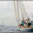 DSC_8025.webp