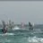 Windsurf_Kitesurf_Carro_DSC_8698.webp