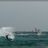 Windsurf_Kitesurf_Carro_DSC_8719.webp