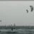 Windsurf_Kitesurf_Carro_DSC_8836.webp