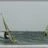 Windsurf_Kitesurf_Carro_DSC_8868.jpg