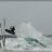 Windsurf_Kitesurf_Carro_DSC_8912.webp