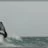 Windsurf_Kitesurf_Carro_DSC_8919.webp