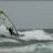 Windsurf_Kitesurf_Carro_DSC_8938.webp
