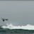 Windsurf_Kitesurf_Carro_DSC_9001.jpg