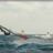 WindSurf_KiteSurt_Carro_DSC_9316.webp