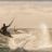 WindSurf_KiteSurt_Carro_DSC_9339.webp