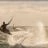 WindSurf_KiteSurt_Carro_DSC_9339.webp