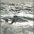 WindSurf_KiteSurt_Carro_DSC_9364.webp