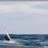 WindSurf_KiteSurt_Carro_DSC_9395.jpg