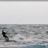 DSC_0412.webp