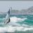 Panique_a_Epluchure_Beach_DSC_1635.webp