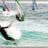 Coup_d__Est_a_Carro_le_22_Avril_2001__Windsurf_and_KiteSurf_DSC_1798.webp