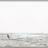 Coup_d__Est_a_Carro_le_22_Avril_2001__Windsurf_and_KiteSurf_DSC_1815.webp