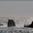 Les_Pharillons_DSC_2510.webp