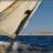 Les_Voiles_du_Vieux_Port_2001_DSC_3310.webp