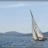 Les_Voiles_du_Vieux_Port_2001_DSC_3318.webp