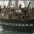Le_Belem_a_Marseille_DSCN0826.webp
