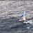 First_36-7_Depart_au_lof_sous_spi_SLD_4965.webp