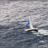 First_36-7_Depart_au_lof_sous_spi_SLD_4968.webp