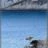 Calanque_Sugiton_SLeDauphin_Photographie_SLD_6233.webp