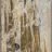 Calanque_Sugiton_SLeDauphin_Photographie_SLD_6247.webp