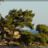 Calanque_Sugiton_SLeDauphin_Photographie_SLD_6262.webp