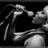 SLeDauphin_Photographie_20121012_SLD_0599.webp