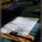 SLeDauphin_Photographie_20130228_SLD_9033.webp
