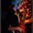 SLeDauphin_Photographie_20130228_SLD_9110.webp