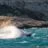 SNS152_La_Bonne_Mere_de_Marseille_SLeDauphin_Photographie_20120107_SLD_6074.webp